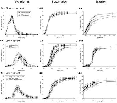 AKH Signaling in D. melanogaster Alters Larval Development in a Nutrient-Dependent Manner That Influences Adult Metabolism